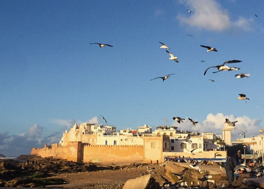 taking Day trip from Marrakech to Essaouira, Morocco