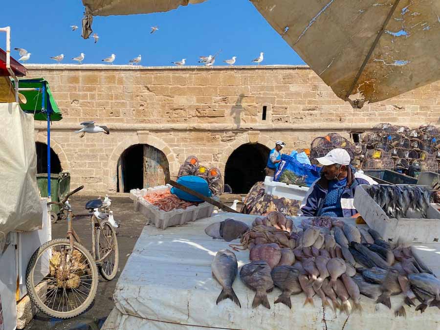 image depicting the Fish Market