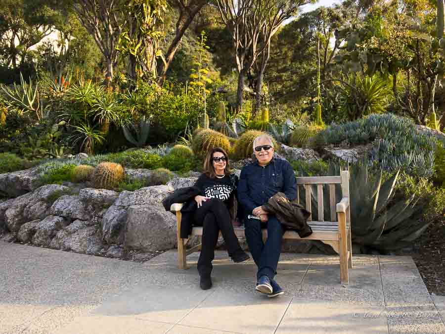people relaxing on a bench in the garden