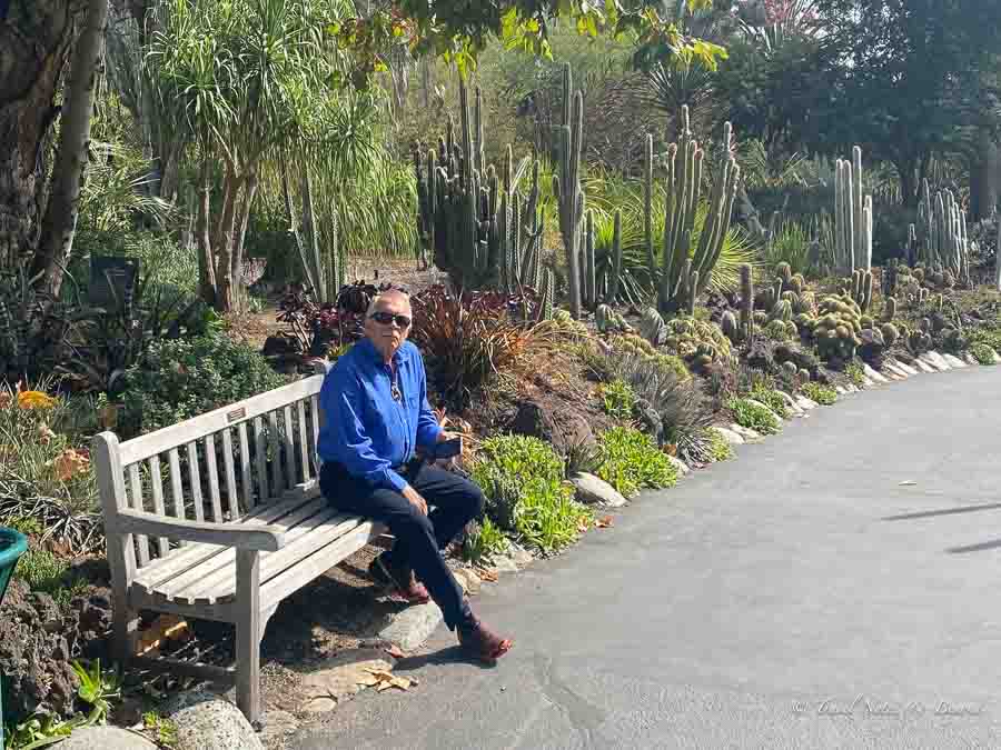 man Relaxing in the Alameda Botanical Garden