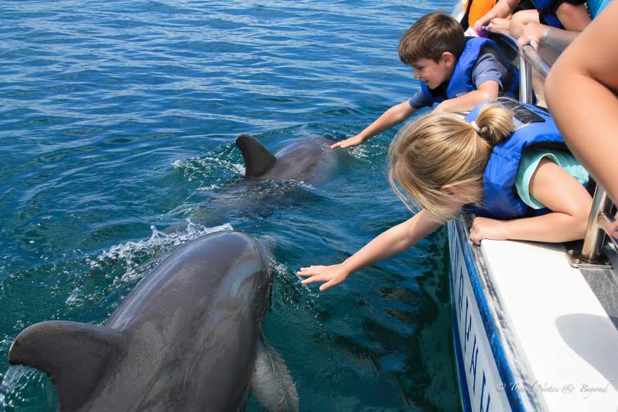children on a boat dolphin watching