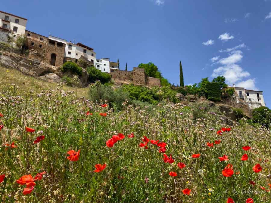 View of the town of Ronda