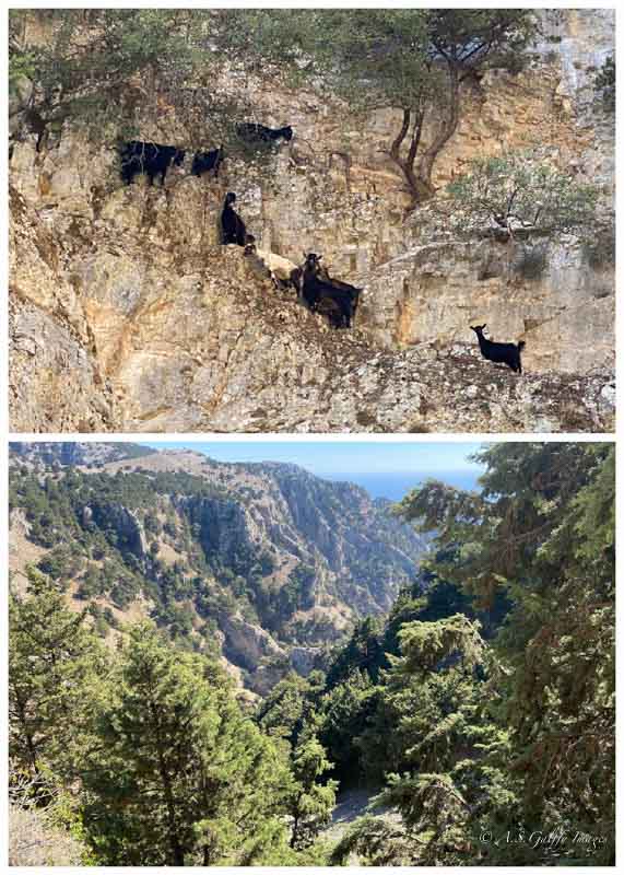 images of a canyon in Crete