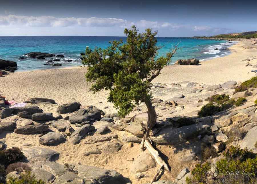 image depicting a beach with black rocks