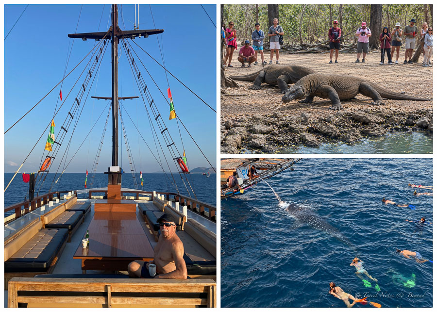 Images from our boat trip