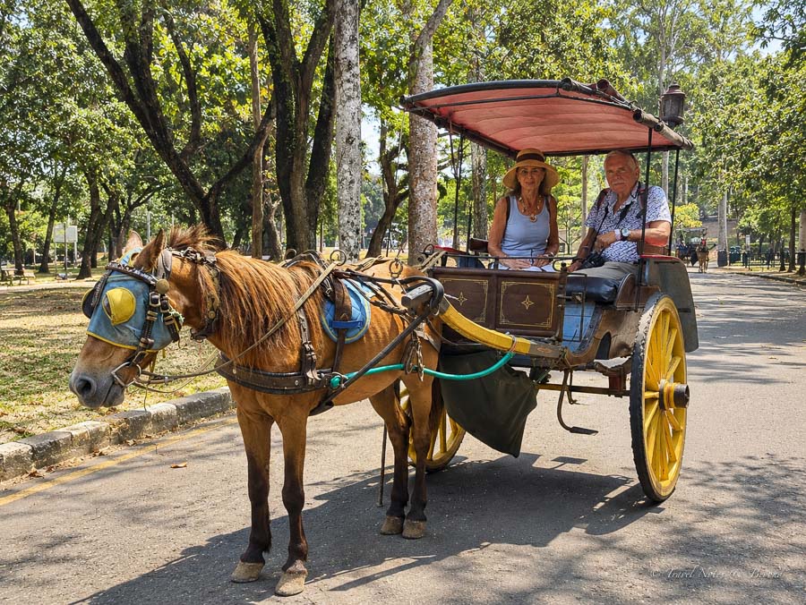 Two people enjoying a carriage ride